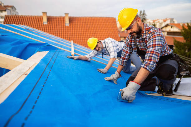 Best Green or Eco-Friendly Roofing Solutions  in Fridley, MN