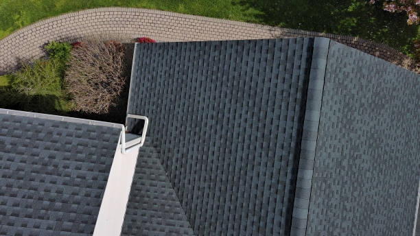 Best Skylight Installation and Repair  in Fridley, MN