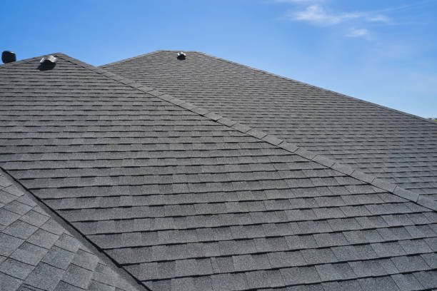 Best Rubber Roofing (EPDM, TPO)  in Fridley, MN